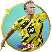 skv88