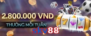 skv88