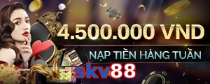 skv88