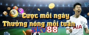 skv88